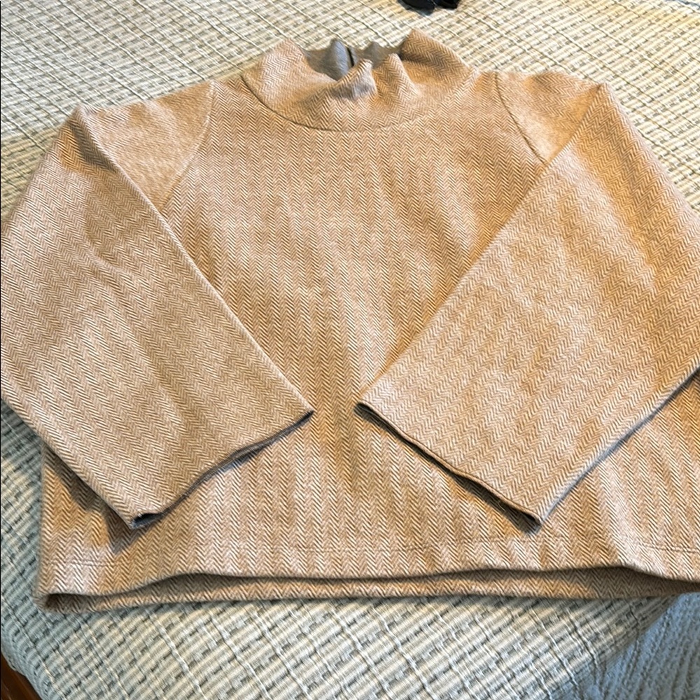 Madewell super cozy fleecy sweater